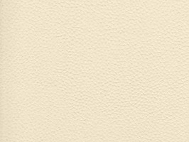 lmporter leather 進口牛皮66系列 真皮 牛皮 沙發皮革 6604 米色